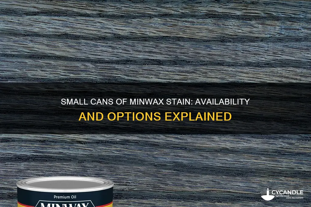 does min wax stain come in small cans
