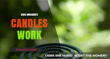 Do Mosquito Candles Really Work? Separating Fact from Fiction