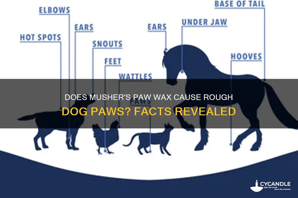 does mushers paw wax make dogs paws rough