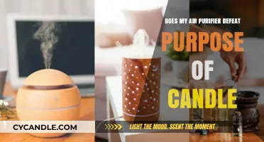 Air Purifiers and Candles: A Healthy Home Conundrum