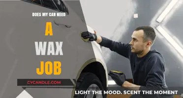 Revive Your Ride: The Ultimate Guide to Car Waxing Essentials