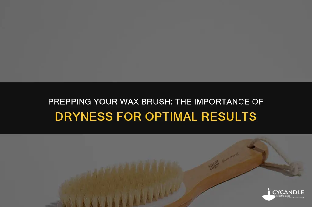 does my wax brush need to be dry before using