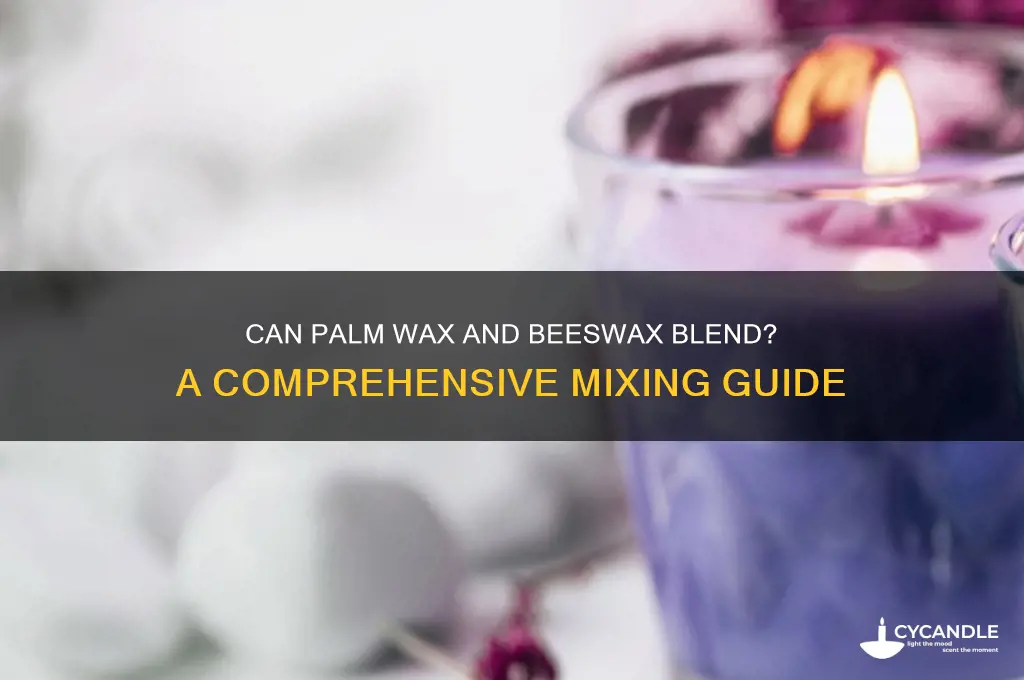 does palm wax and beeswax mix