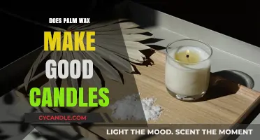 Palm Wax Candles: Benefits, Burn Quality, and Eco-Friendly Appeal