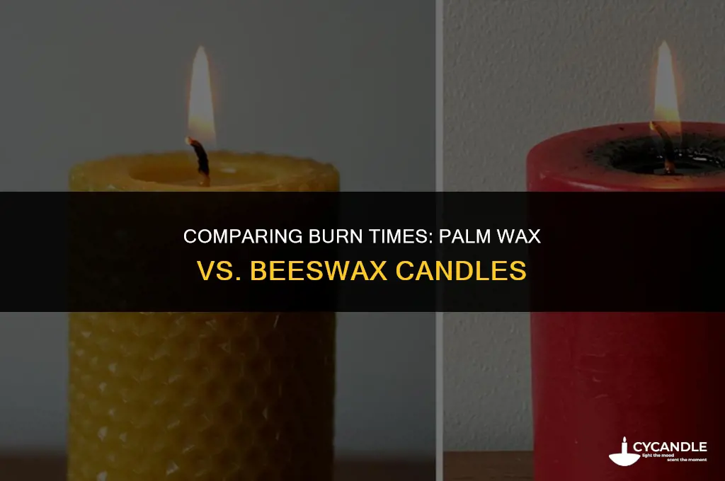 does palm wax or beeswax burn longer