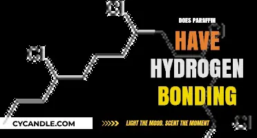Exploring Paraffin's Molecular Structure: Does Hydrogen Bonding Occur?