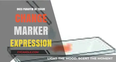 Does Paraffin Tissue Processing Alter Marker Expression in Research?