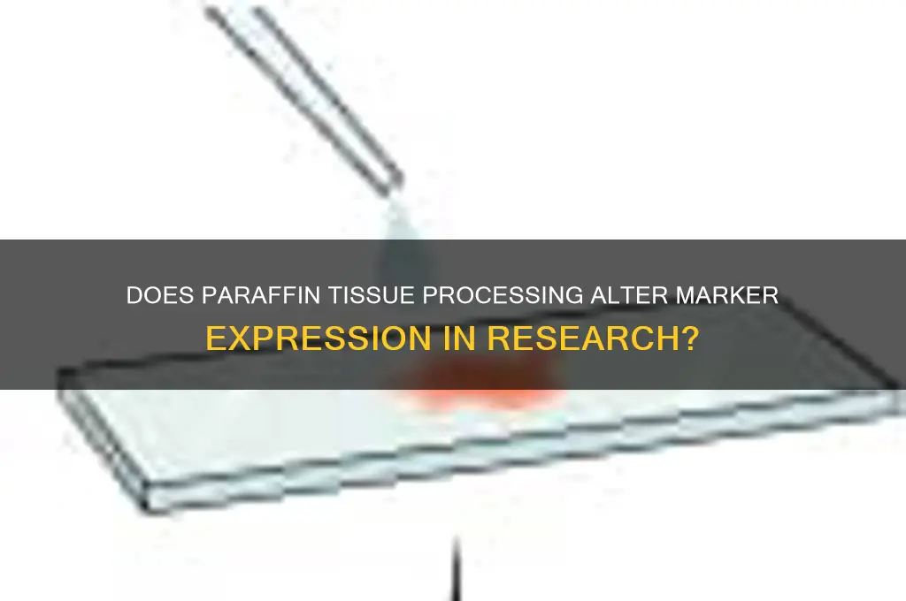 does paraffin of tissue change marker expression