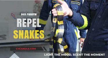 Does Paraffin Repel Snakes? Uncovering the Truth Behind This Myth