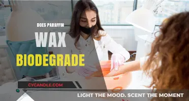 Does Paraffin Wax Biodegrade? Exploring Its Environmental Impact and Breakdown