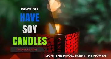 Partylite's Soy Candles: What You Need to Know