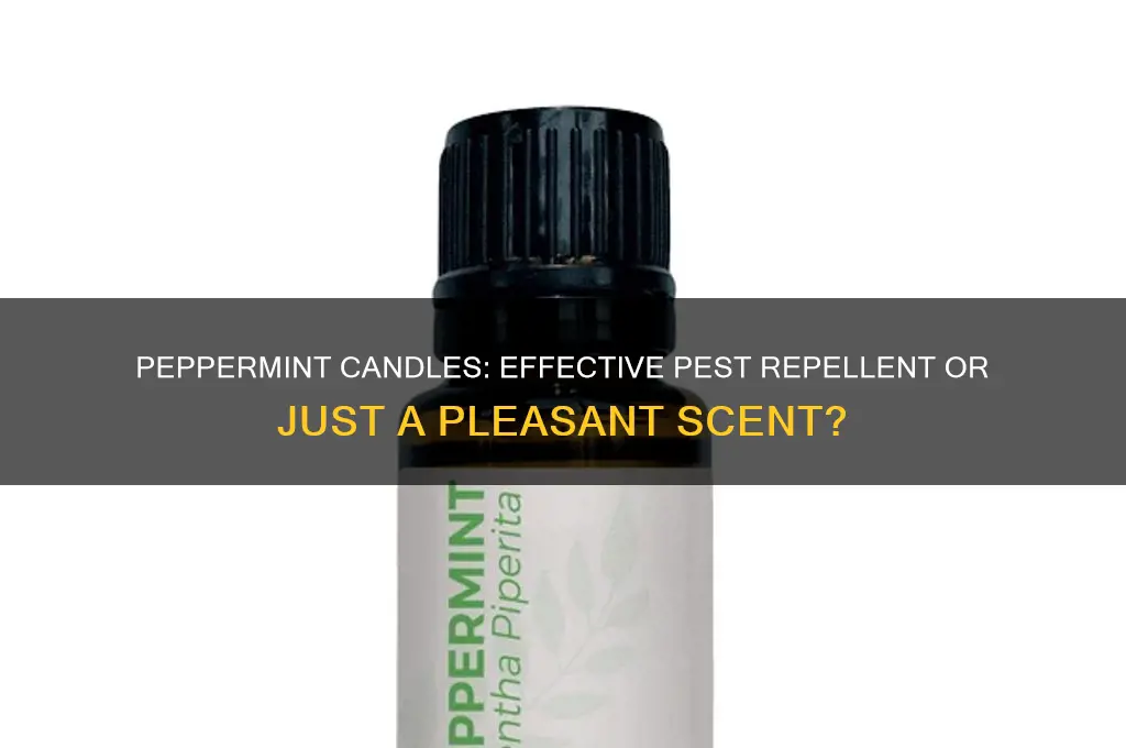 does peppermint candles work to ward of pests