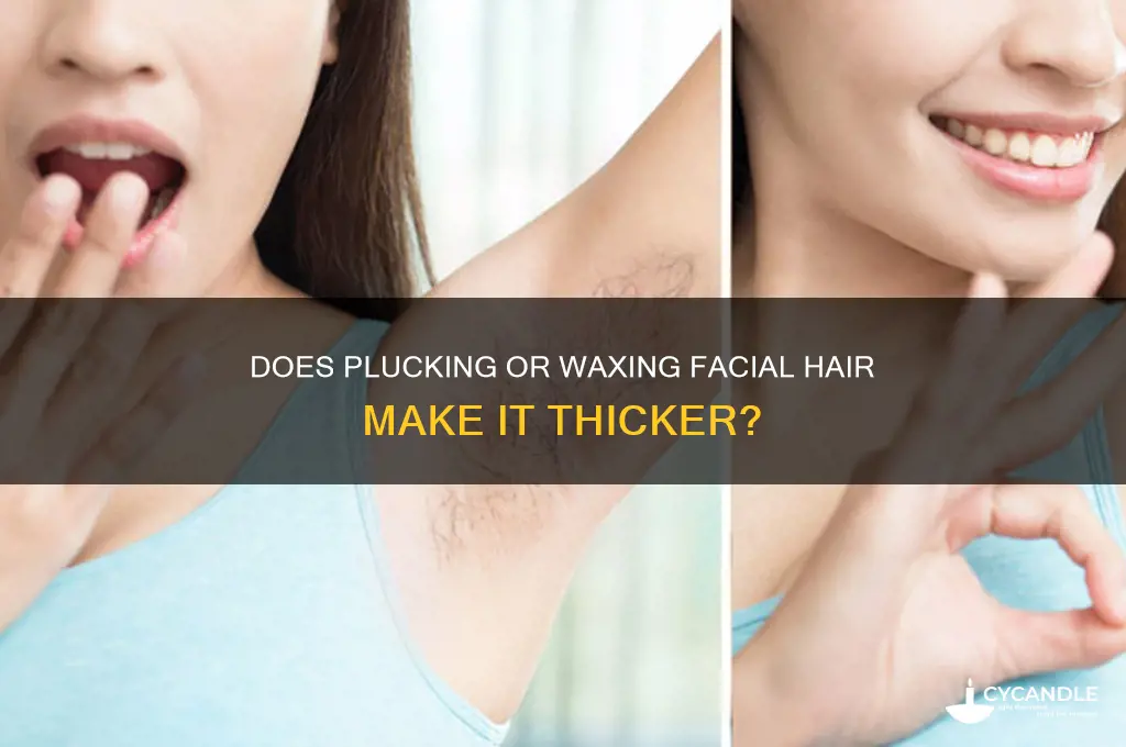 does plucking or waxing facial hair make it thicker