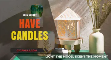 Explore Scentsy's Candle Collections: Aroma and Warmers