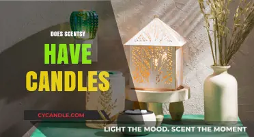 Scentsy: The Scented Wax Giant and Its Candle Offerings