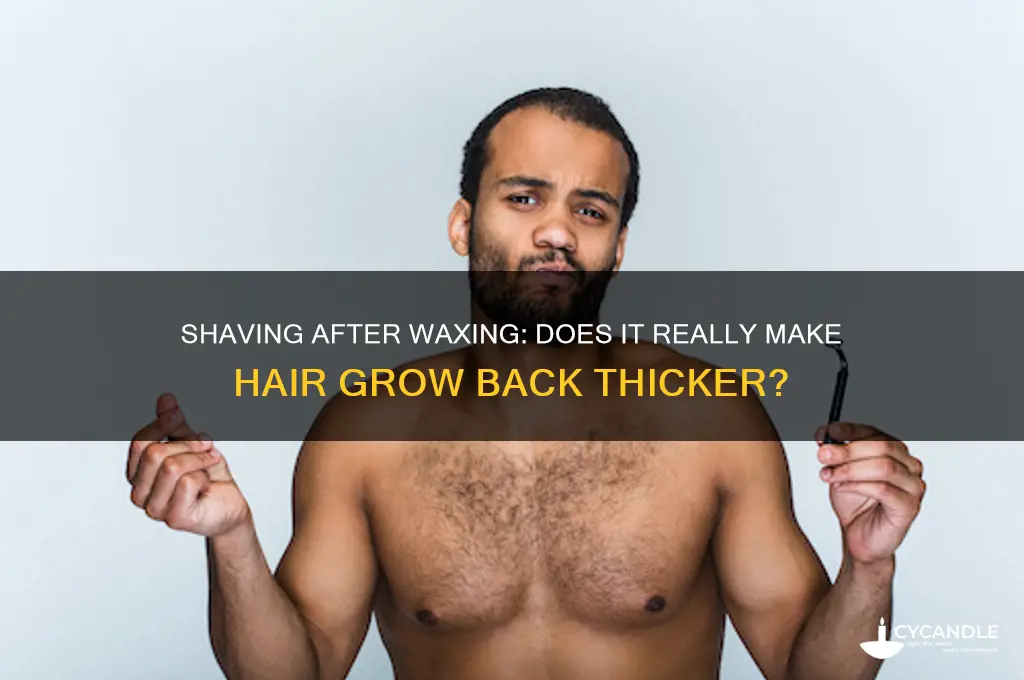 does shaving after waxing make hair g
