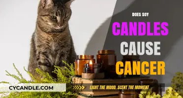 Soy Candles: Cancer-Causing or Safe?