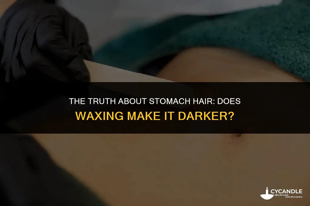 does stomach hair get darker if you wax it