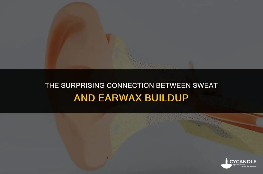 does sweat cause ear wax