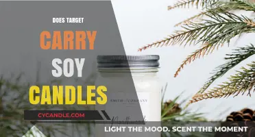 Target's Soy Candle Collection: What's Available?
