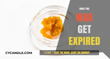 Does THC Wax Have a Shelf Life? Understanding Expiration and Potency