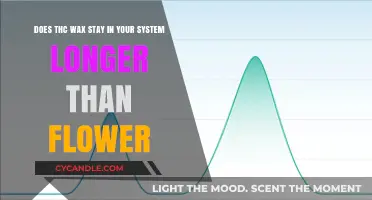 Exploring THC Retention: Wax vs. Flower in Your System