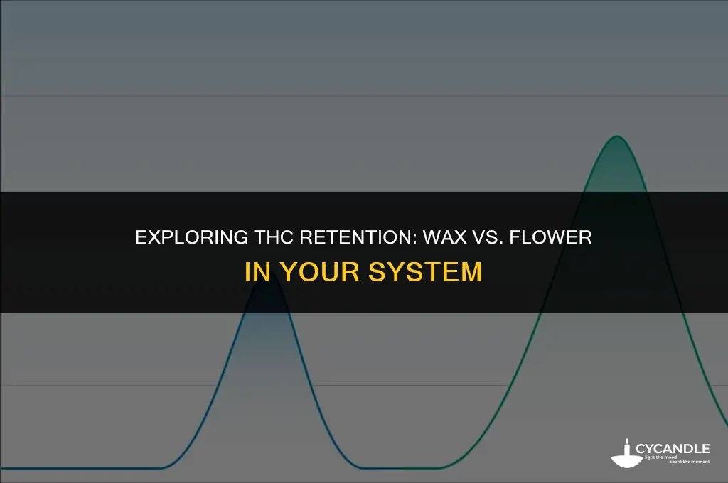 does thc wax stay in your system longer than flower