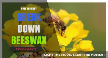 Can Your Body Digest Beeswax? Uncovering the Truth About Beeswax Breakdown