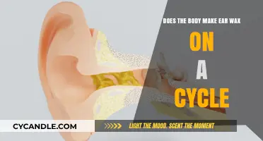 The Ear Wax Cycle: Understanding Your Body's Natural Cleaning Process
