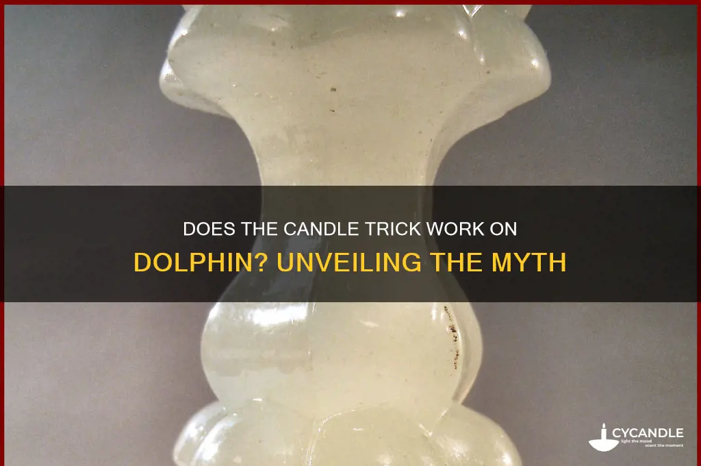 does the candle trick work on dolphin