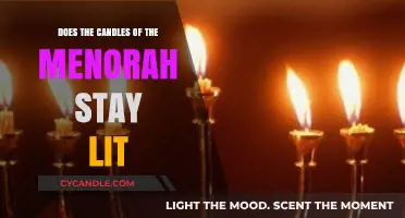 The Miracle of the Menorah: Everlasting Light