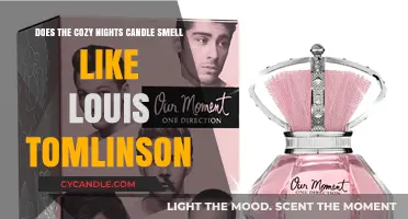 The Cozy Nights Candle: A Whiff of Louis Tomlinson?