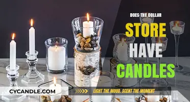 Explore the Dollar Store's Candle Collection