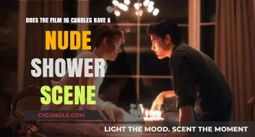 The Nude Shower Scene in 16 Candles: Explored