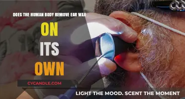 How the Body Naturally Manages and Removes Ear Wax Over Time
