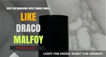 The Mahogany Apple Candle: Draco Malfoy's Signature Scent?