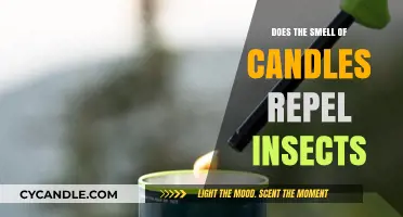 Candle Scents: Insect Repellent or Attractant?