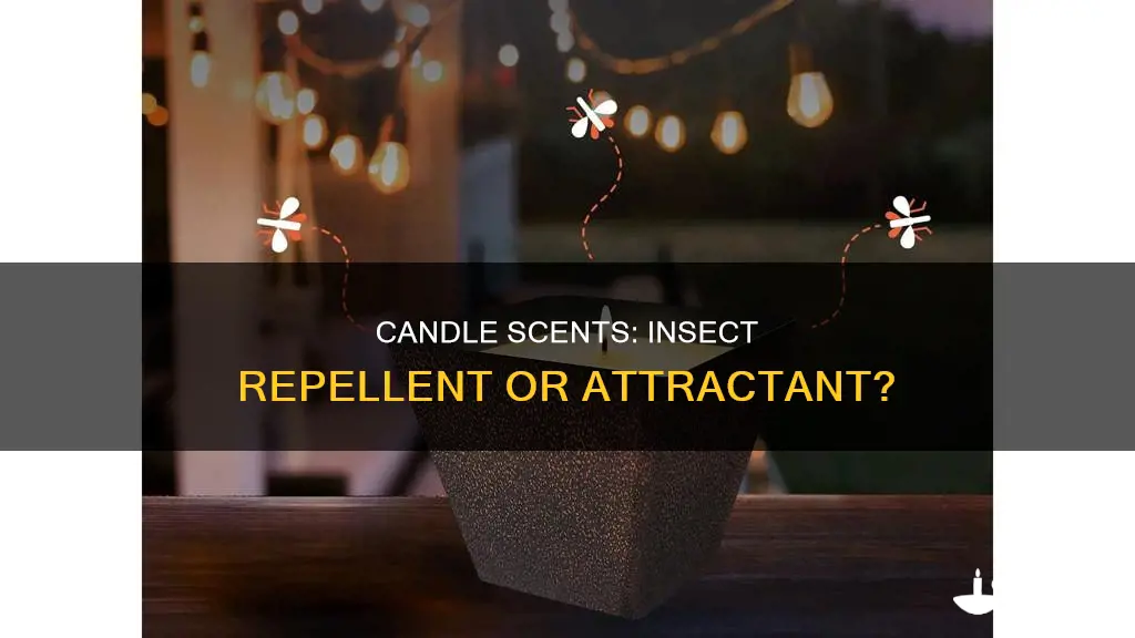 does the smell of candles repel insects