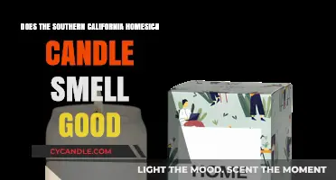 The Homesick Candle: Does It Smell Like Southern California?