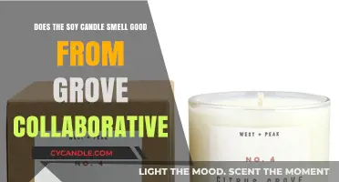 Grove Collaborative Soy Candle: Does It Smell Good?
