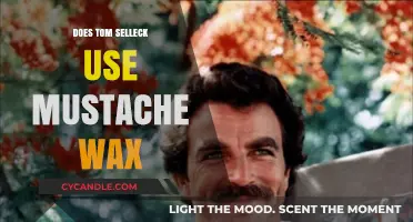 Tom Selleck's Mustache Maintenance: Wax or No Wax?