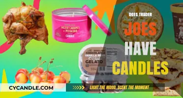 Trader Joe's Candle Collection: What's Available?