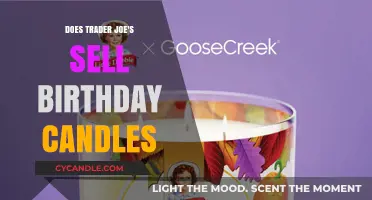Trader Joe's Birthday Candles: A Fun Find?