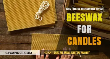 Bee Colony Treatments: How Does It Affect Beeswax for Candles?
