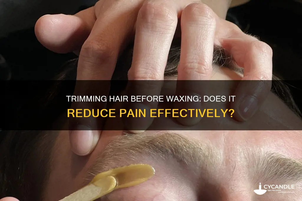 does trimming hair make waxing less painful