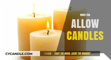 TSA's Candle Conundrum: What's Allowed?