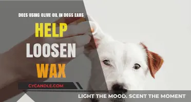 Natural Ear Care for Dogs: Olive Oil's Role in Loosening Wax
