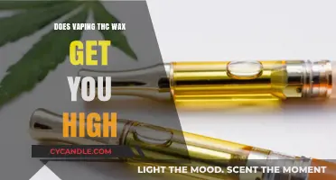 Exploring the Effects: Does Vaping THC Wax Induce a High?