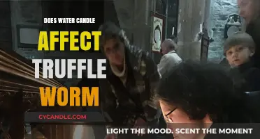 Truffle Worm Survival: Water Candles' Impact