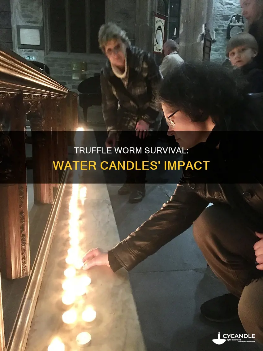does water candle affect truffle worm